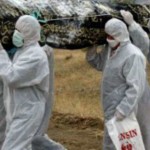 Лихорадка Эбола может проникнуть в Украину
